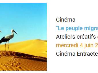 Ciné ateliers