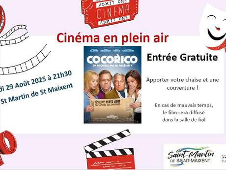 Cinéma en plein air !