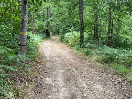 Circuit des Mottes