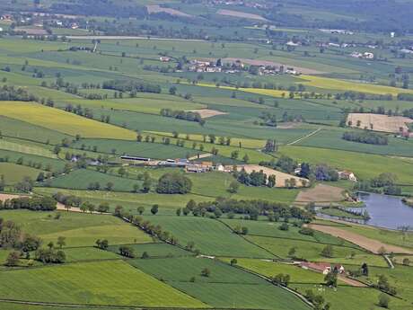 Le sentier de la Brande de Landes