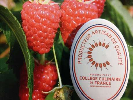 Les Framboises du Tursan