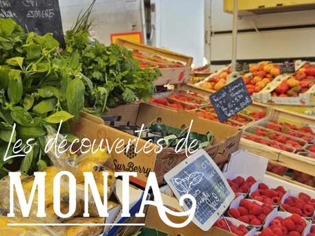 Visite décalée du marché de Montalivet