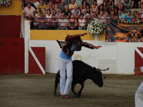 Course landaise