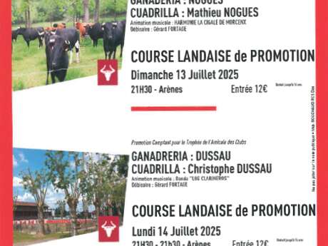 Course Landaise