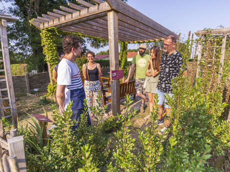 Visite dégustation au Jardin antique du musée gallo-romain