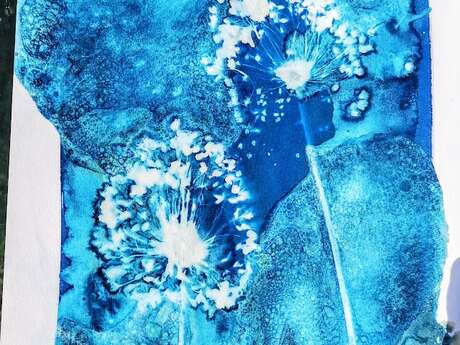 Atelier "Cyanotype : Voyage photographique"