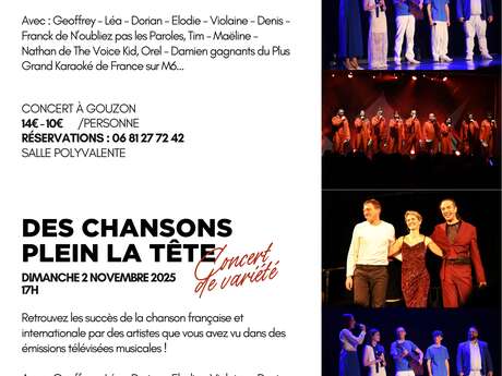 Des chansons plein la tête