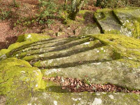 La Pierre aux Neuf Gradins