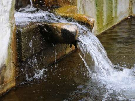 Balade "L'eau qui façonne les paysages"