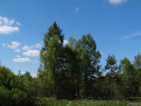 Les Sources de la Creuse - 1 km