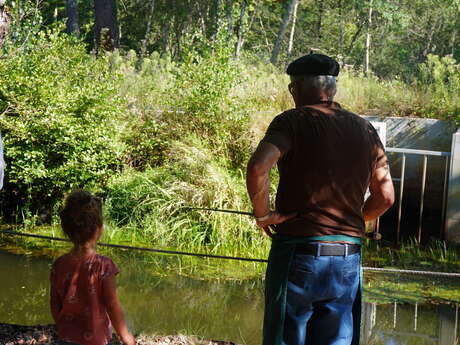 Faune et traditions à Marquèze