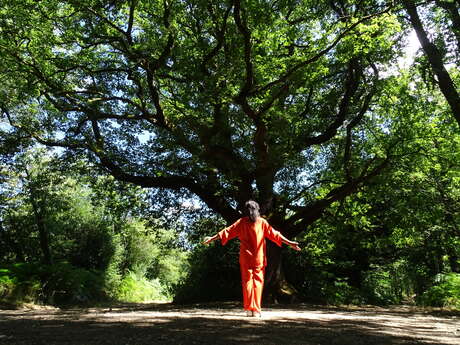 Stage de QI GONG