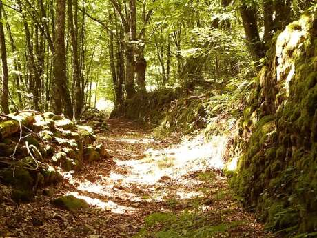 Vallée du Doustre