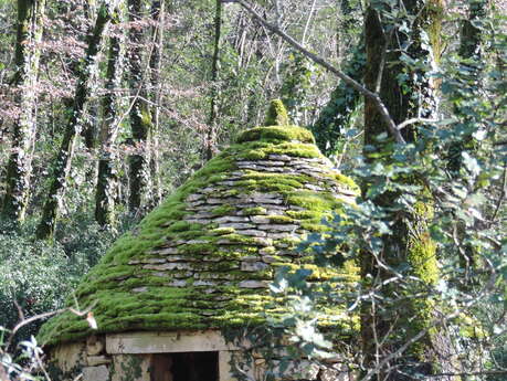 Boucle des Pechs Calviac en Périgord