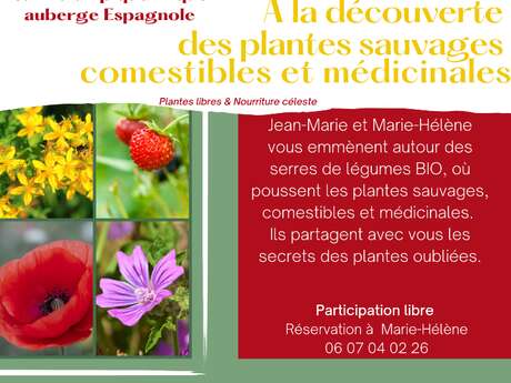 à la découverte des plantes sauvages comestibles et médicinales