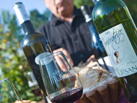 Trésor Gourmand : Dégustation dans les vignes