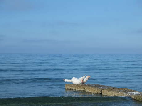Tentative de vol - Performance de Kristina Depaulis