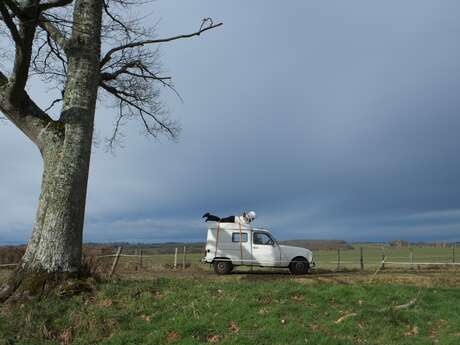 Rencontre découverte de l'exposition Collection en mouvement - Une mue de nuage
