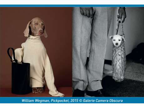 Exposition: Des chiens et des hommes