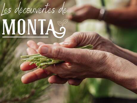 À la découverte des plantes sauvages comestibles À la découverte des plantes sauvages comestibles