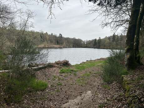 Fête de la nature : « Trop Sauvages »