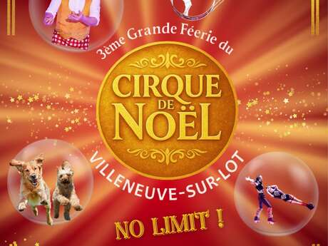 La grande féerie du cirque de Noël