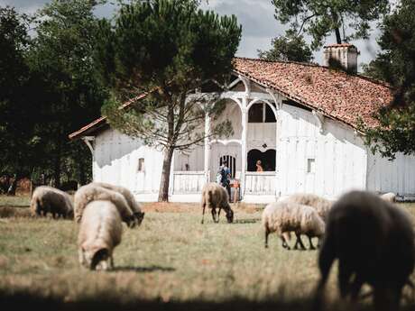Ecomusée de Marquèze