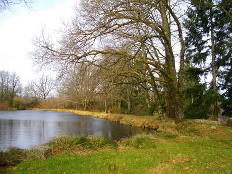 sentier des étangs