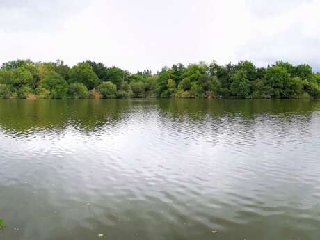Pêche à l'étang des Bussières
