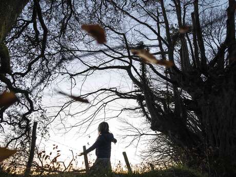 fête de la nature, Balade & Bienfaits