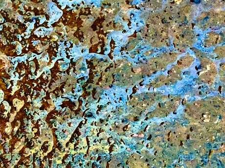 Exposition - Cette mer est si bleue qu’il n’y a que le sang qui soit plus rouge