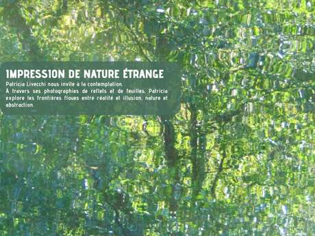 Exposition : Impression de nature étrange