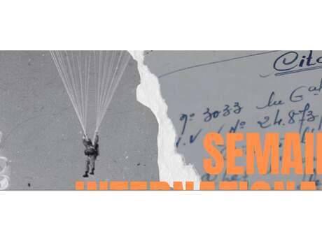 Exposition: A l'aube par le ciel: les parachutistes français dans la libération