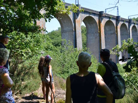 Visite guidée - Le viaduc de Rocherolles