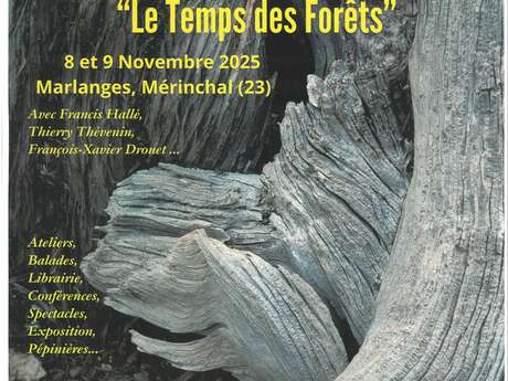 FORET ET SANTE : Le temps des Forêts FORET ET SANTE : Le temps des Forêts