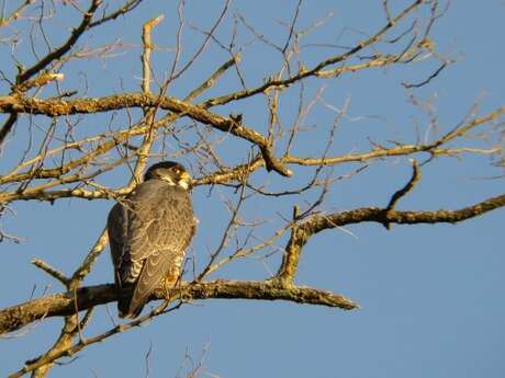 Sortie Bord de Vienne