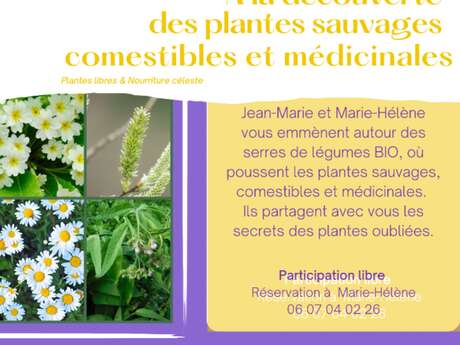 à la découverte des plantes sauvages comestibles et médicinales