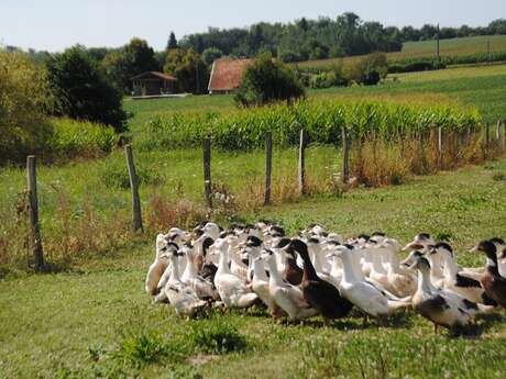 Ferme Beyris Guilhem