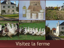 Ferme Gourgoussa