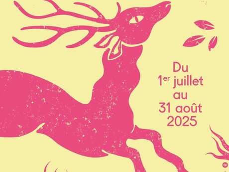Sens Dessus Dessous