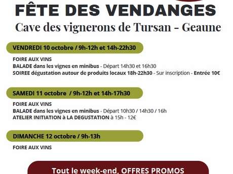 Fête des Vendanges