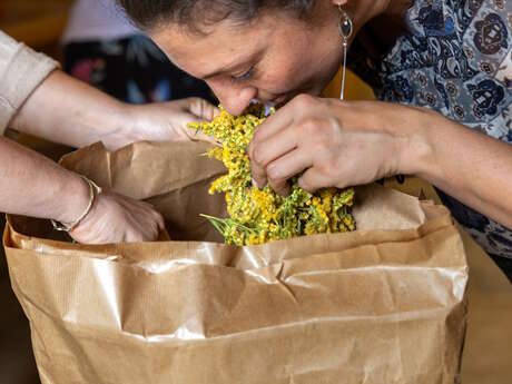 Découvrez les bienfaits des plantes sauvages - Juillet