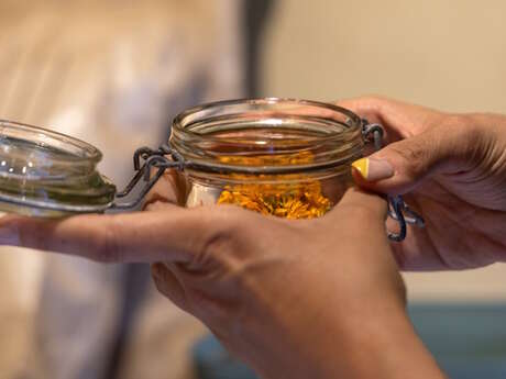 Découvrez les bienfaits des plantes sauvages - Août