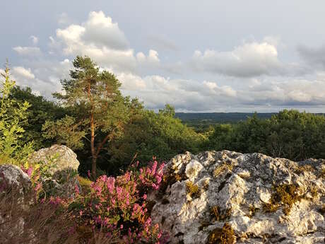 Aire de pique nique de la butte de Fochet
