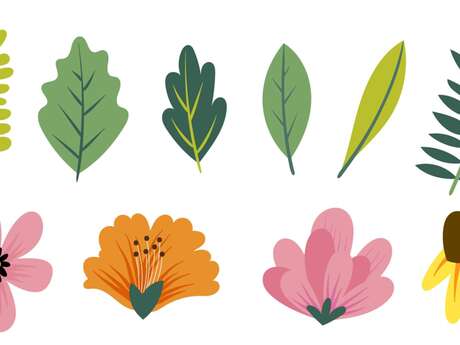 Voyage au fil des jardins