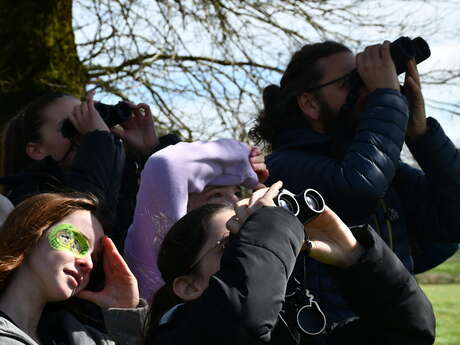 Balade matri·patrimoine - Habiter en oiseau