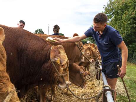 Comice agricole et fête médiévale