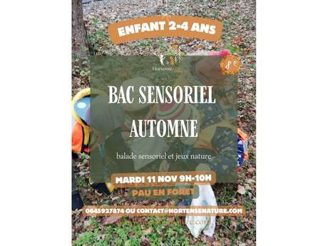 bac sensoriel enfants 1-4 ans