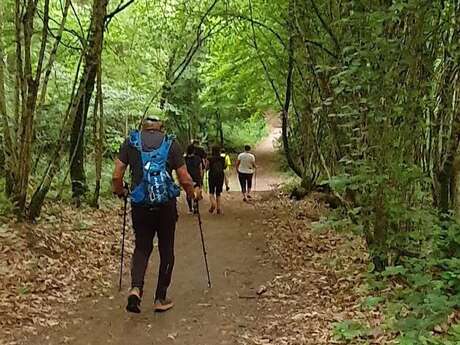 RandoFit pour le téléthon