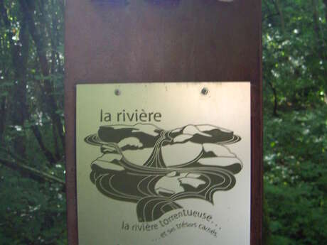 Pêcher dans les eaux vives de la Dronne - Sentier le Saut du Chalard